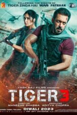 Download Streaming Film Tiger 3 (2023) Subtitle Indonesia HD Bluray